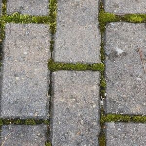 Meet your Posher, Dillon